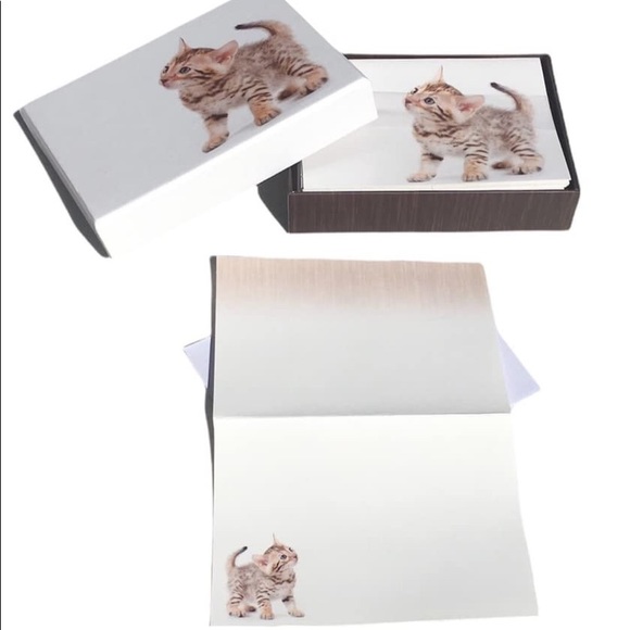 Crown Point Graphics Curious Tabby Kitten Note Cards Keepsake Box (FNC90516) - Picture 4 of 4